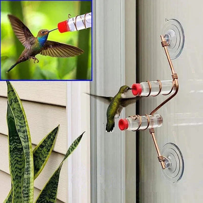 Bird Watching Window Feeder