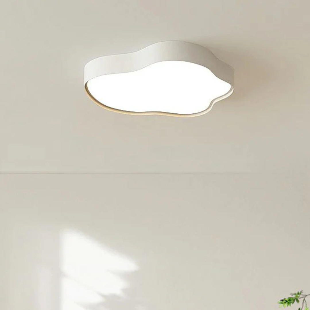 Modern LED Overhead Light