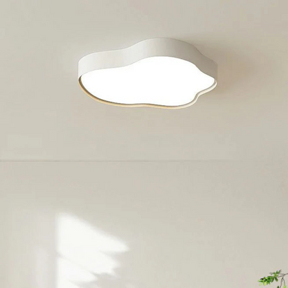 Modern LED Overhead Light