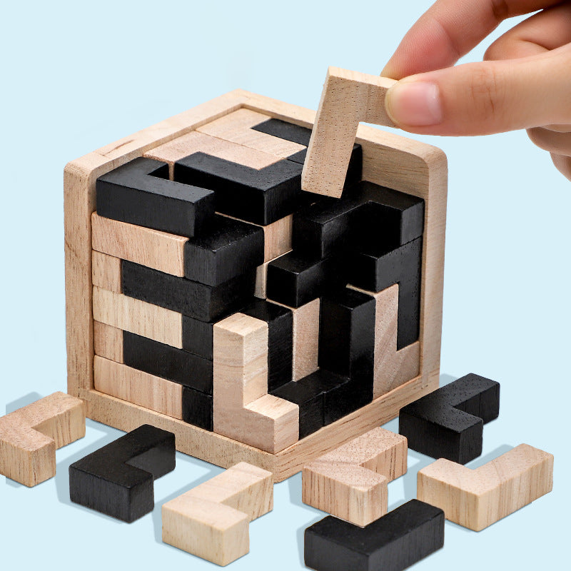 Classic Wooden Puzzle Brain Game