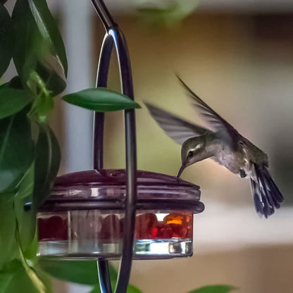 Stylish Bird Shaped Metal Water Dispenser