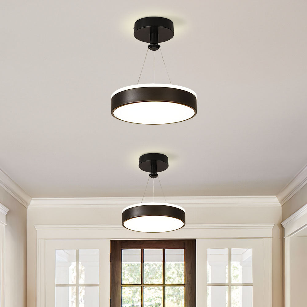Sleek Modern Black Gold Pendant Light