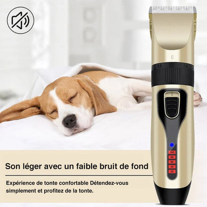 Premium Pet Grooming Tool Set