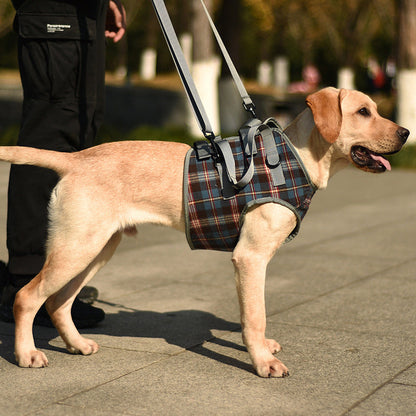 Comfortable Dog Support Harness for Back Legs