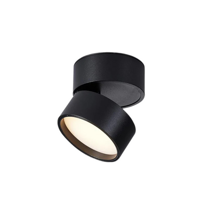 Flexible Dimmable LED Ceiling Light