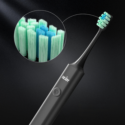 Electric Toothbrush with Replaceable Heads