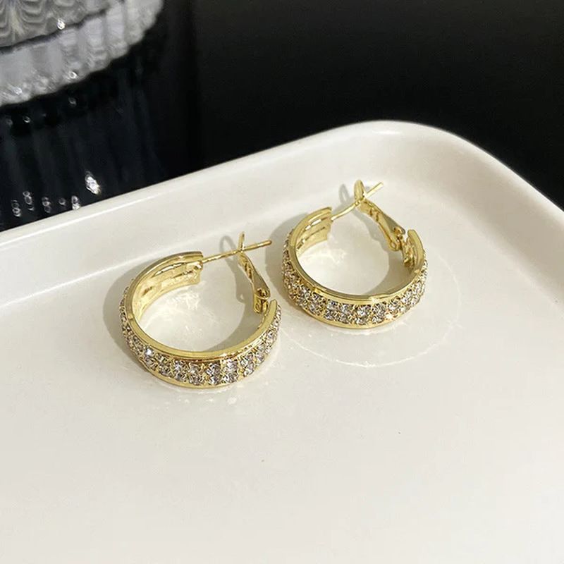 Detox Lymph Node Circle Earrings - Fesara