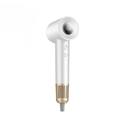 Fast Ionic Salon Hair Dryer
