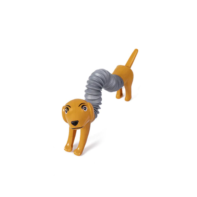 Fun Interactive Pet Toy