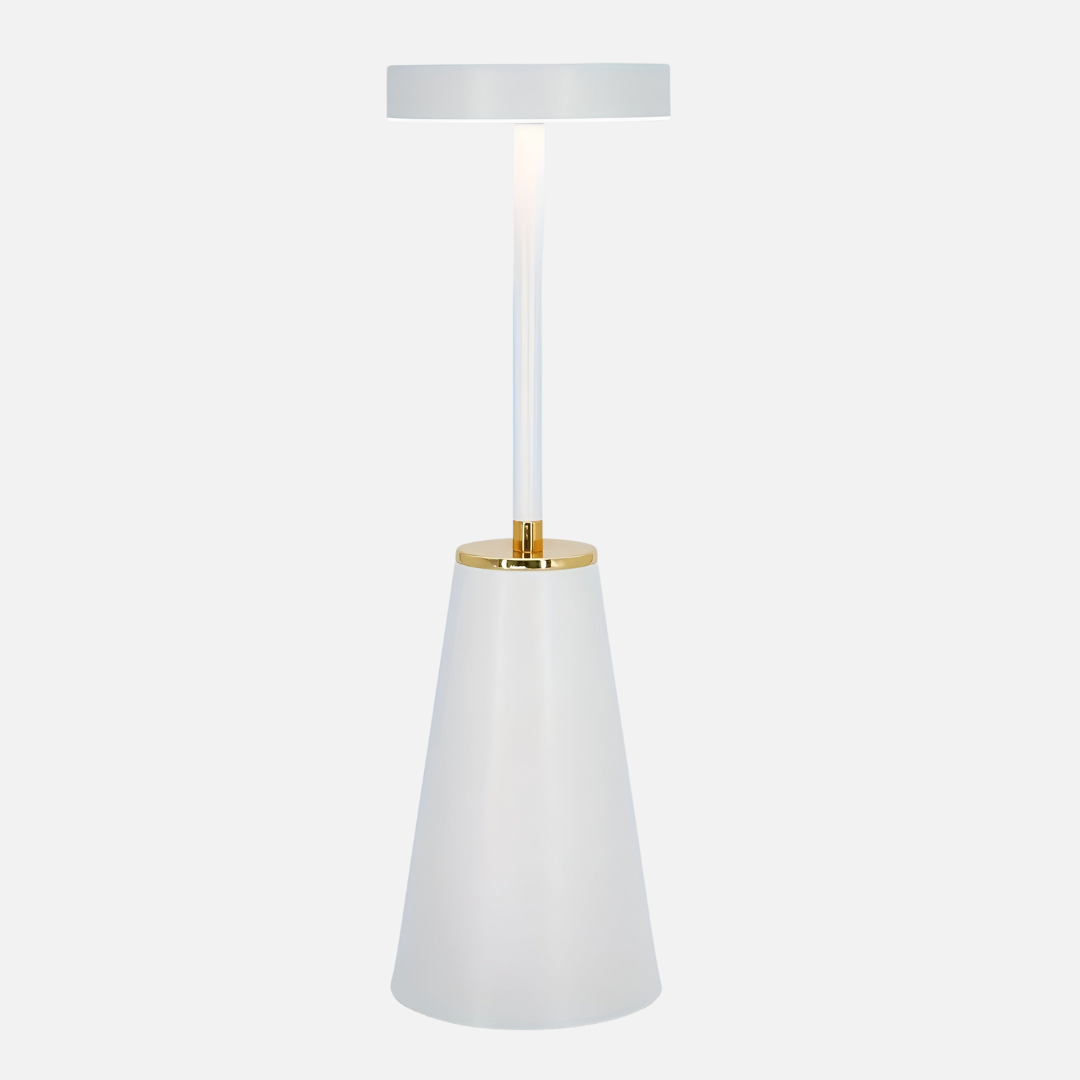 Contemporary Metal Cone Portable Desk Lamp