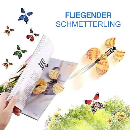 Colorful Winged Butterfly Decoration