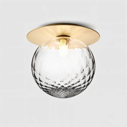 Elegant LED Ceiling and Wall Light Fixture