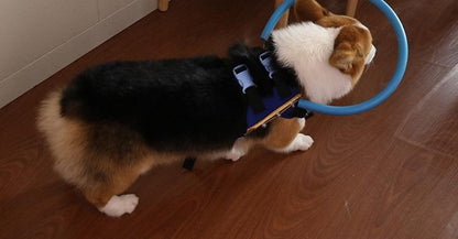 Supportive Puppy Walking Vest Blind Dog Assist Harness