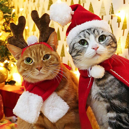 Fun Holiday Pet Costumes - Fesara