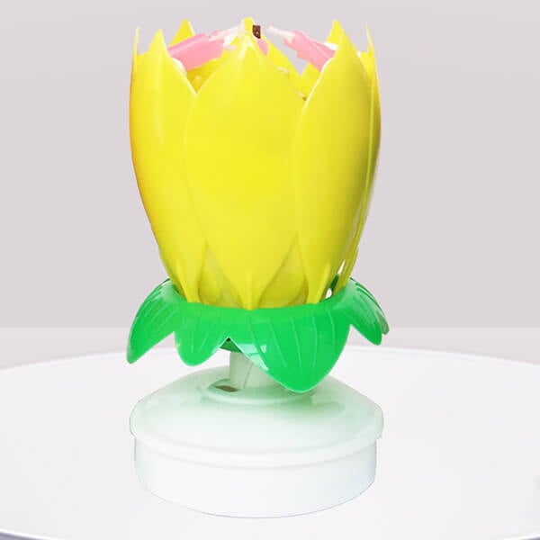 Colorful Blooming Birthday Candle