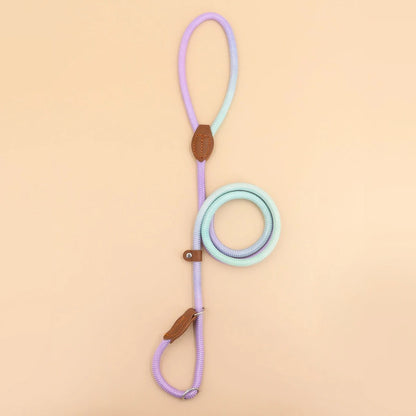 Vibrant Pet Leash for Fashionable Dog Walking