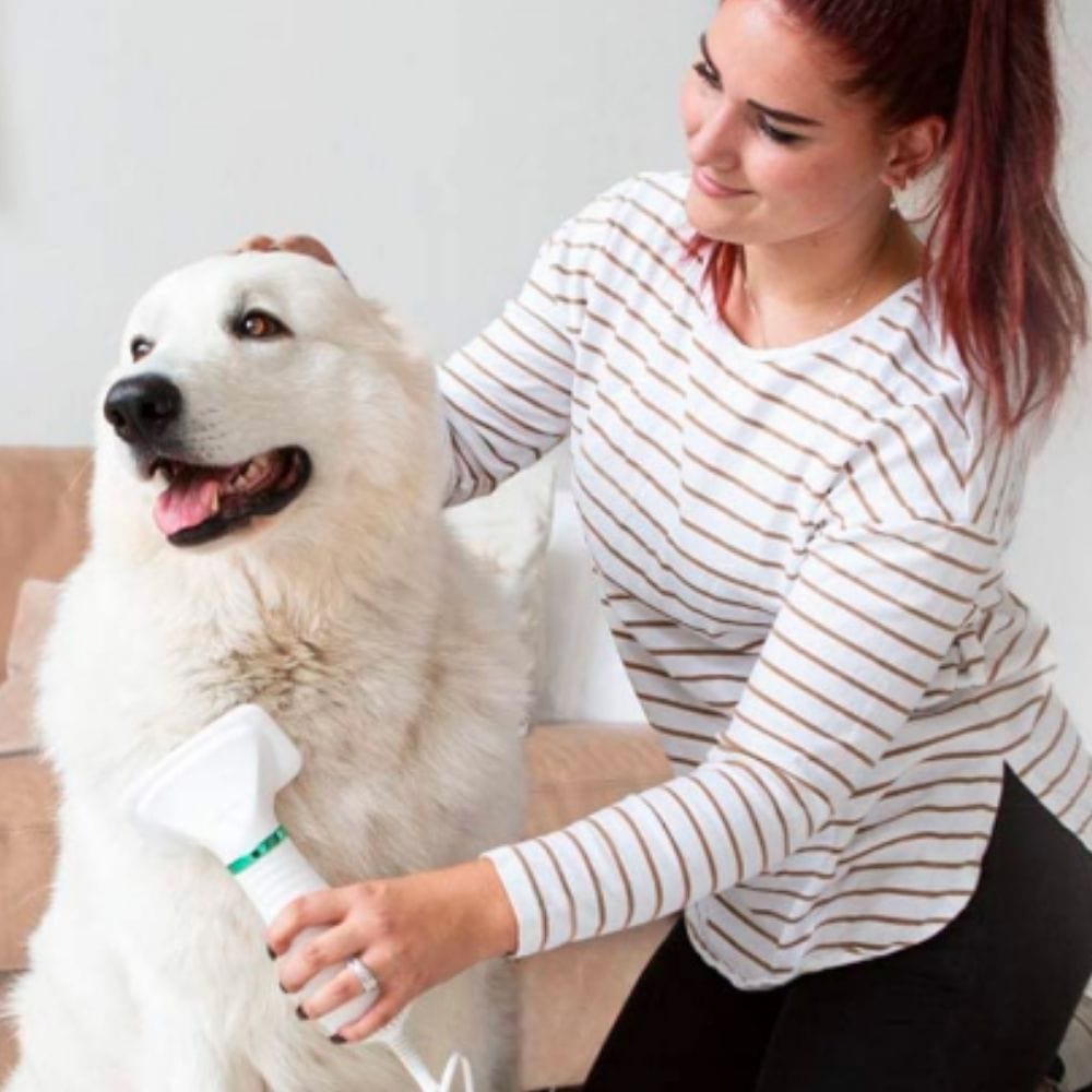 Pet Dryer and Grooming Kit
