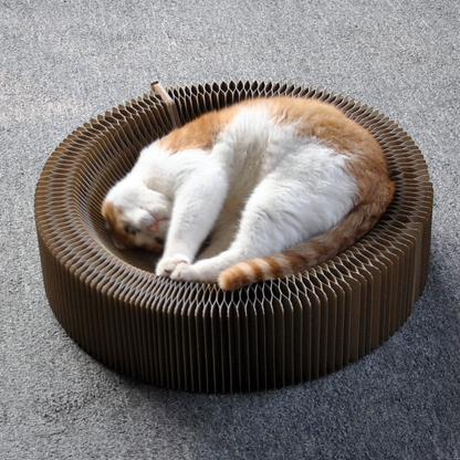 Fesara | Collapsible Cat Scratcher Bed - Fesara