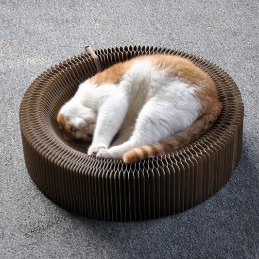 Fesara | Collapsible Cat Scratcher Bed - Fesara