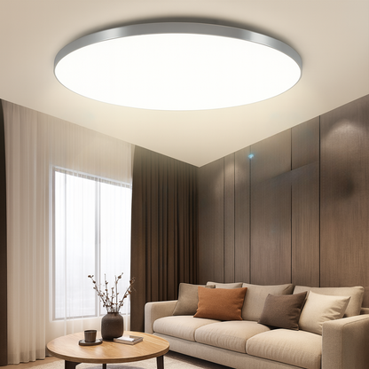 Circular LED Ceiling Lamp Contemporary