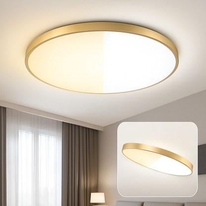 Circular LED Ceiling Lamp Contemporary