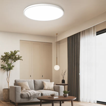 Circular LED Ceiling Lamp Contemporary