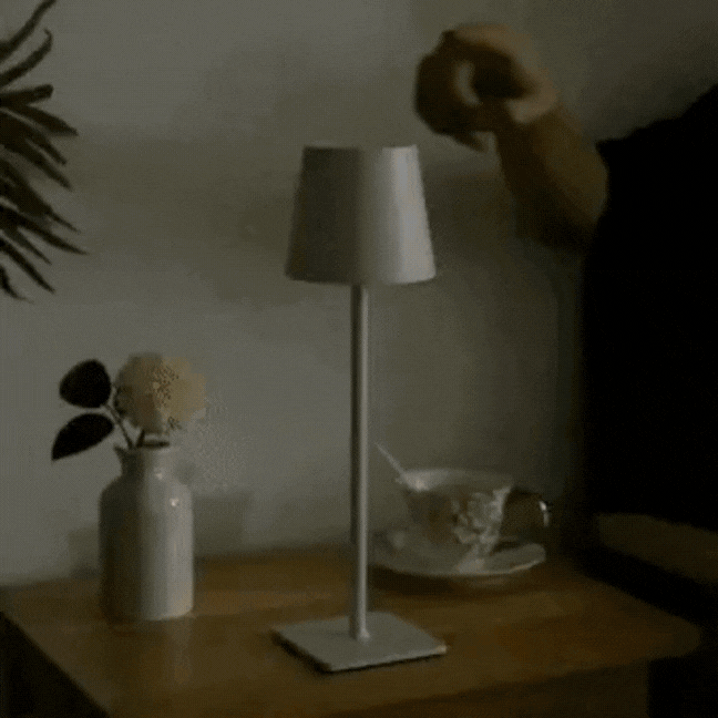 Sleek Contemporary Metal Desk Lamp