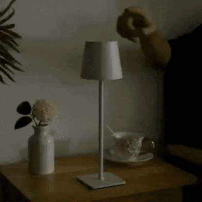 Sleek Contemporary Metal Desk Lamp