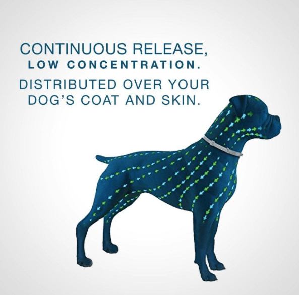 Fesara | Pest Control Dog Collar for Fleas and Ticks