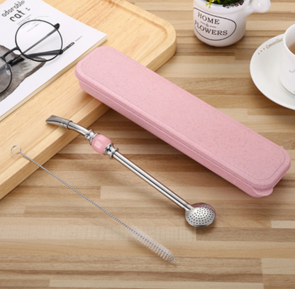 Premium Metal Straw Set with Filter & Cleaning Kit