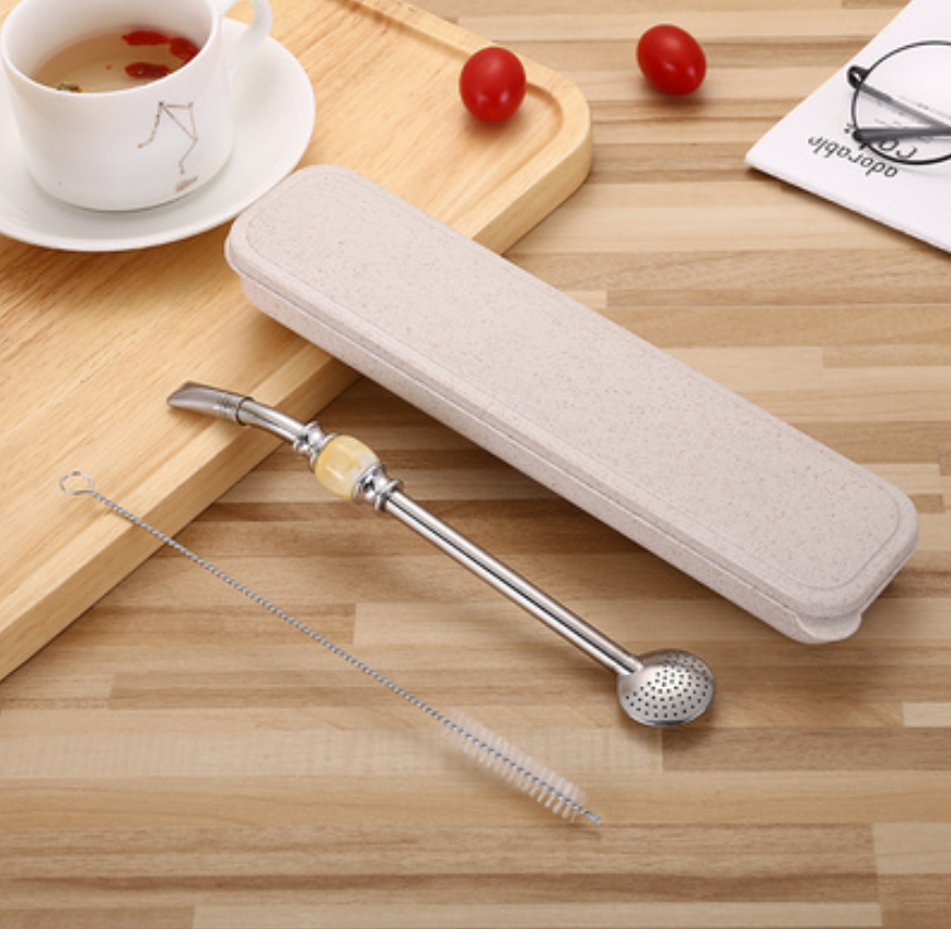 Premium Metal Straw Set with Filter & Cleaning Kit
