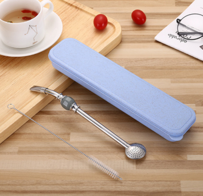 Premium Metal Straw Set with Filter & Cleaning Kit