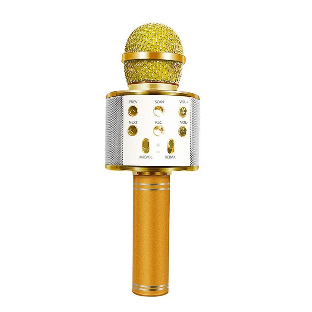 Portable Wireless Karaoke Bluetooth Microphone