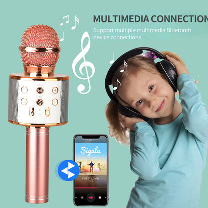 Portable Wireless Karaoke Bluetooth Microphone