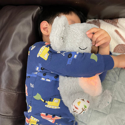 Soft Plush Teddy Bear Friend