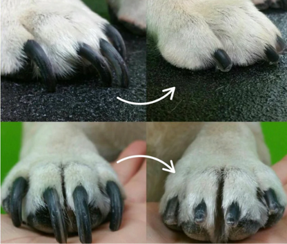 Easy Pet Nail Clipper with LED Guide Light