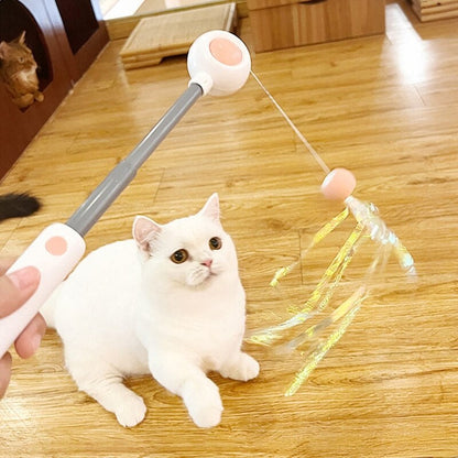 Fun Feather Cat Wand Toy
