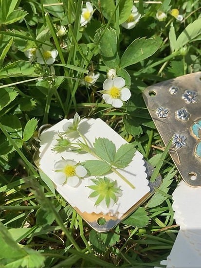 Fresh Flower Preservation Kit