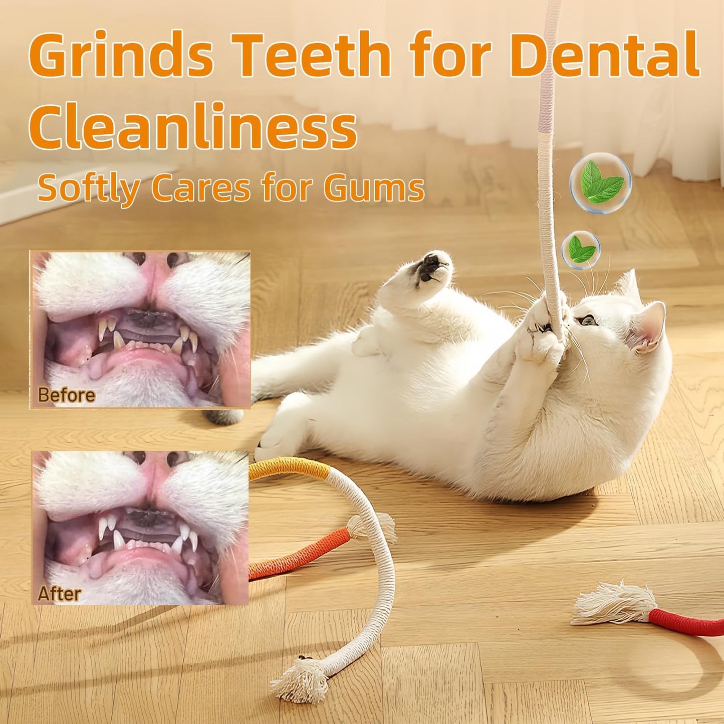 Fun Interactive Cat Toy