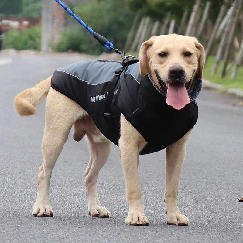 Waterproof Dog Coats for Winter - Fesara