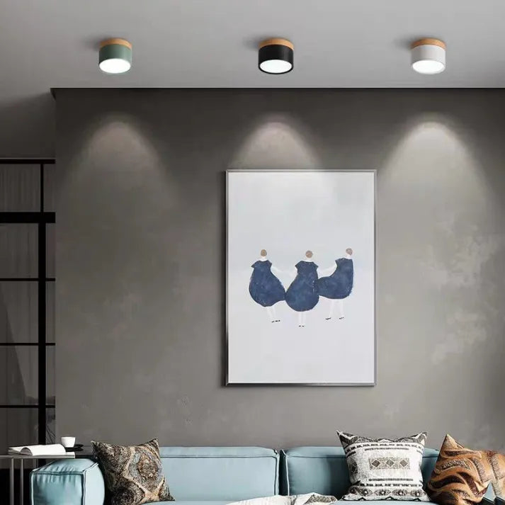 Simple Modern LED Ceiling Lamp