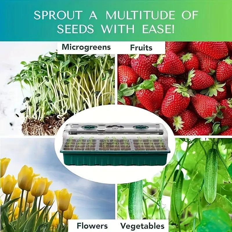 Complete Mini Greenhouse Starter Set with LED Light