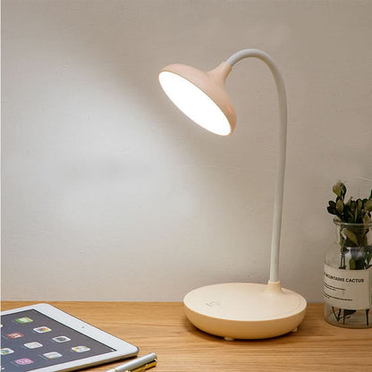Bright Adjustable LED Desk Light with USB Charging