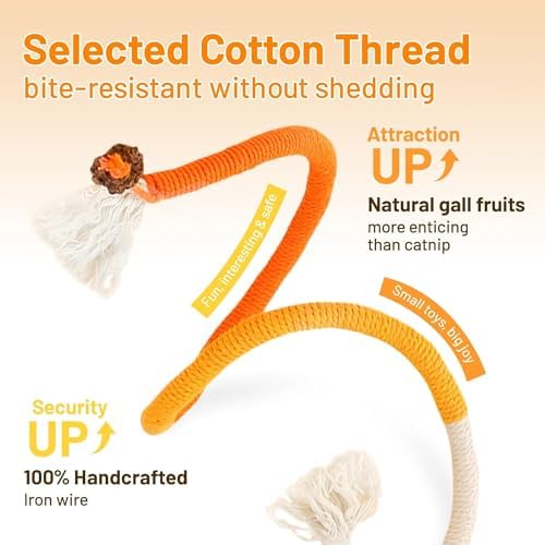 Fun Interactive Cat Toy