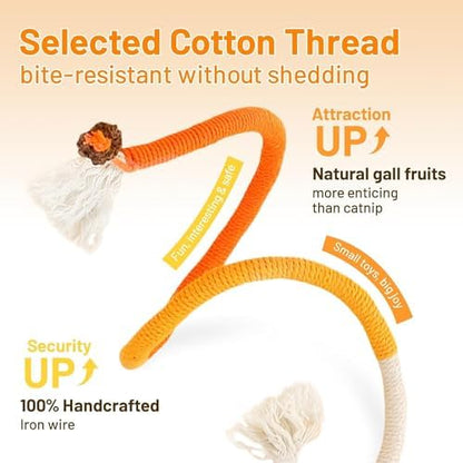 Fun Interactive Cat Toy