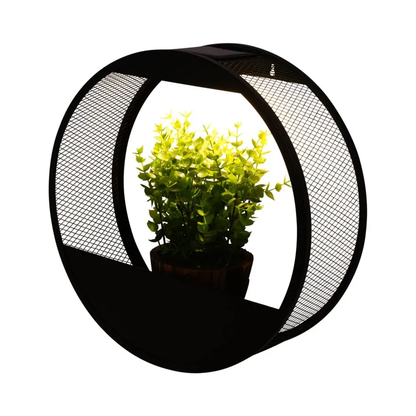 Eco Friendly Outdoor Solar Wall Light
