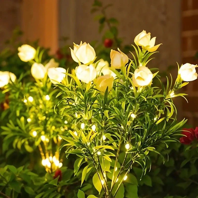 Colorful Solar Powered Garden Lights