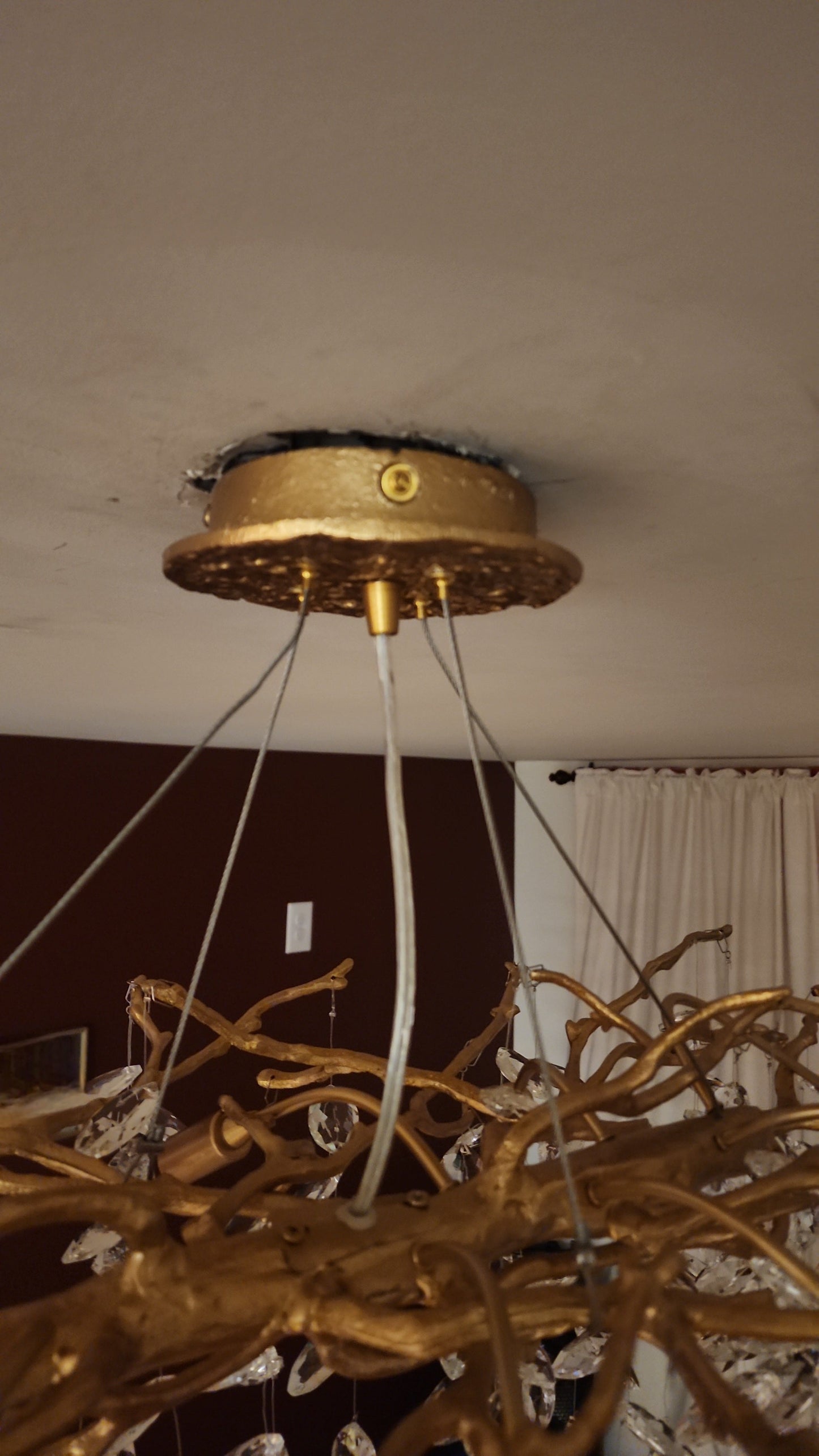 Unique Nature Inspired Hanging Lamp