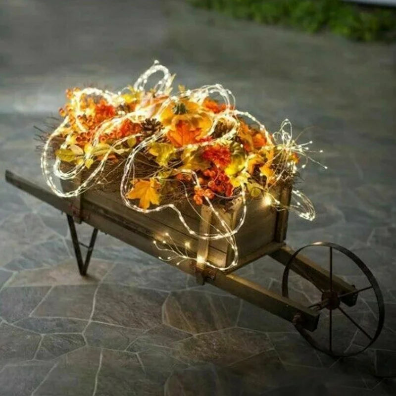 Fesara BrightJoy - Beautiful Festive Holiday Lights