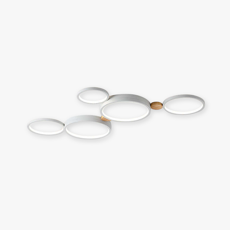 Stylish Modern Ceiling Lamp